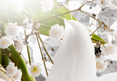 Fototapetes ar baltām lilijām uz eleganta fona - 108096 G-ART