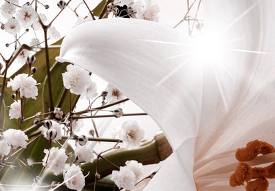 Fototapetes ar baltām lilijām - Ziedu brīze, 135800 G-ART
