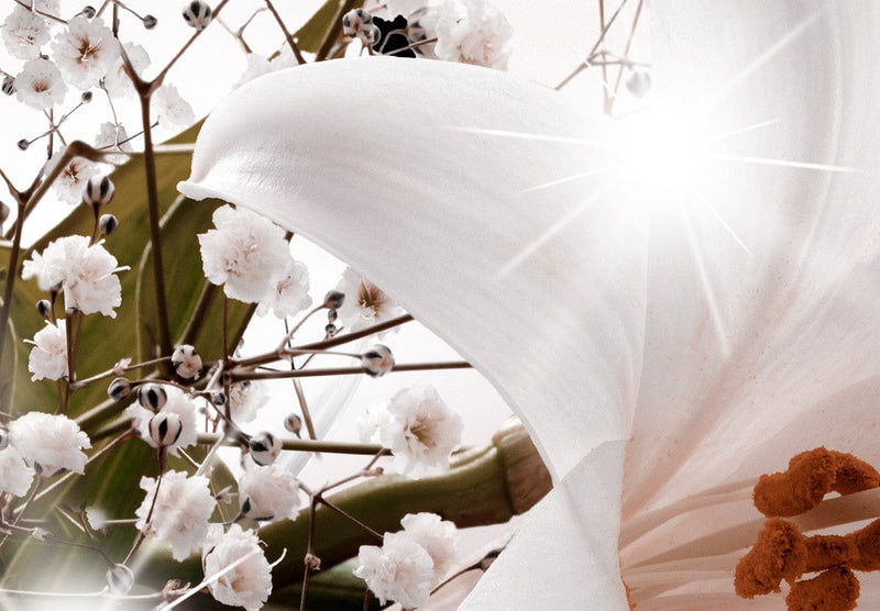 Fototapetes ar baltām lilijām - Ziedu brīze, 135800 G-ART