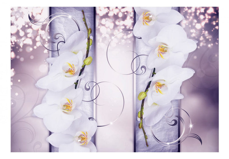 Fototapetes ar baltam orhidejām - Šarms, 60175 G-ART