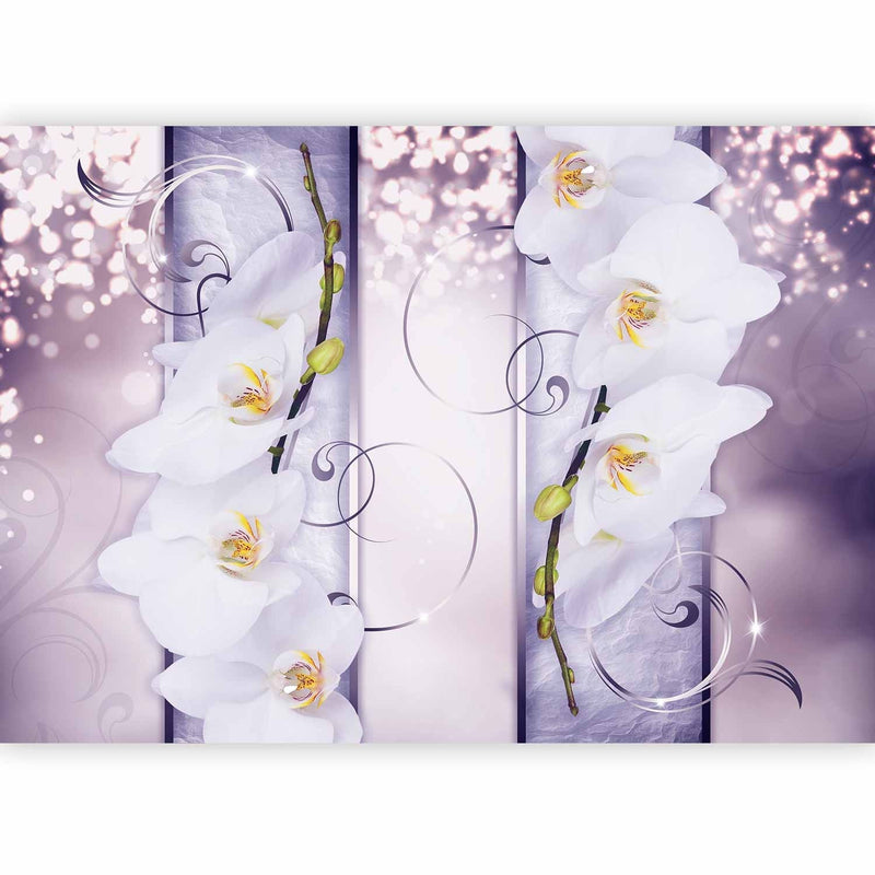 Fototapetes ar baltam orhidejām - Šarms, 60175 G-ART