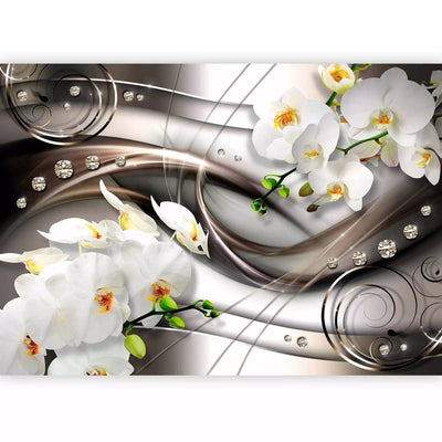 Wall Murals - white orchids on the background of silver composition, 60182 G-art