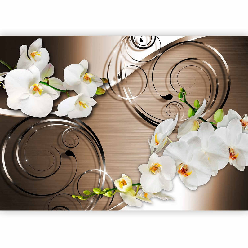Fototapetes ar baltam orhidejām uz brūna fona - Uzticība, 59712 G-ART