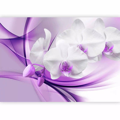 Fototapetai su baltomis orchidėjomis purpuriniame fone, 61863 G-Art