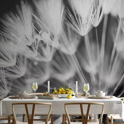 Wall Murals with white dandelions on a black background - morning kiss - 90402g -art