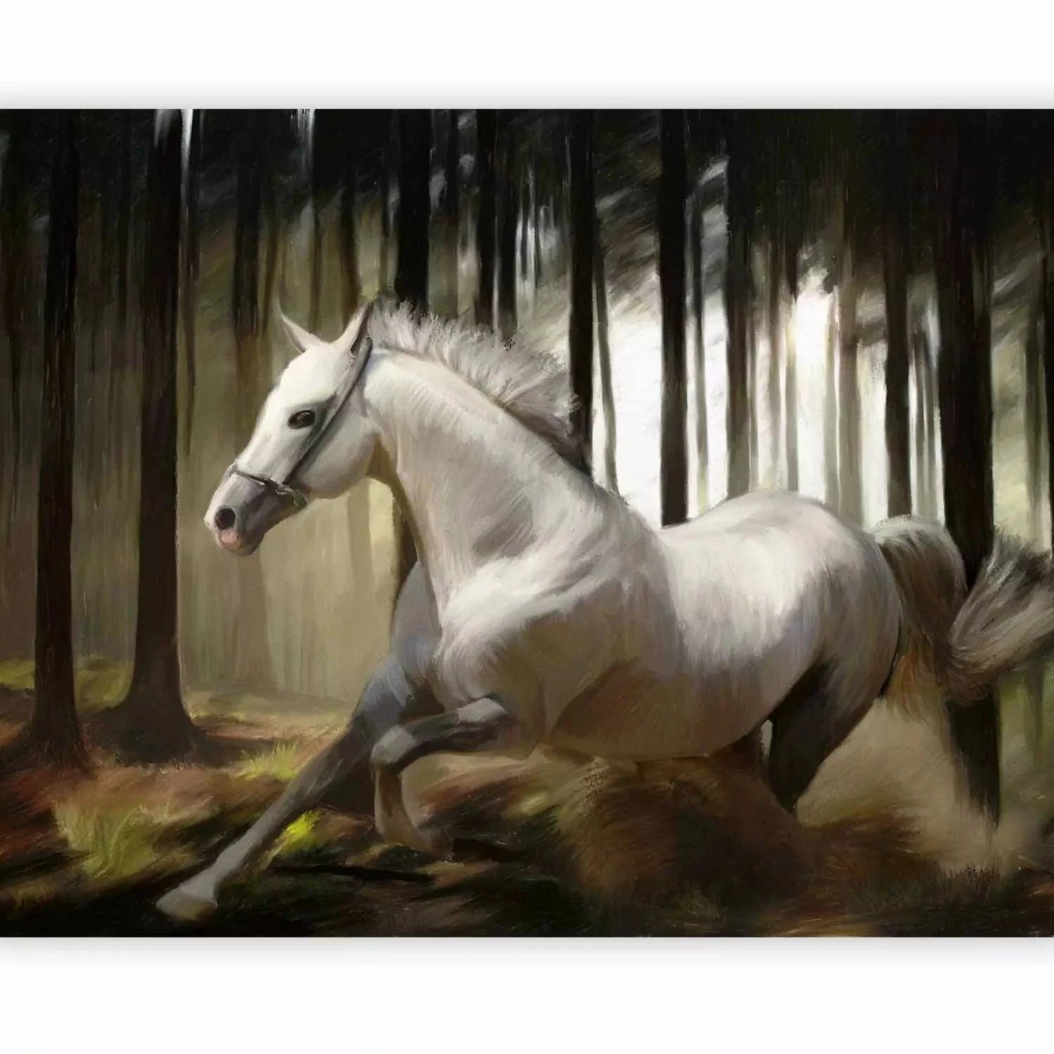 Fototapetes ar baltu zirgu - Pakaļdzīšanās, ražošana un izgatavošana G-ART