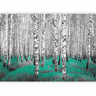 Valokuvatapetti koivuilla - abstrakti metsämaisema koivuilla ja turkoosilla aksentilla, 60518 G-ART