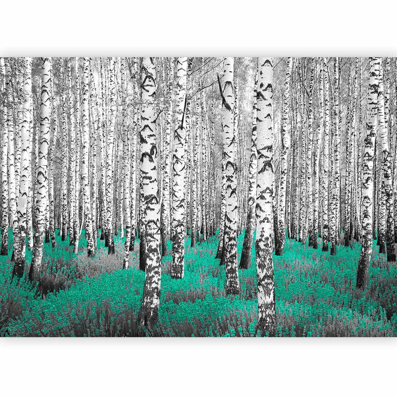 Fototapetes ar bērziem - abstrakta meža ainava ar bērziem un tirkīza akcentu, 60518 G-ART