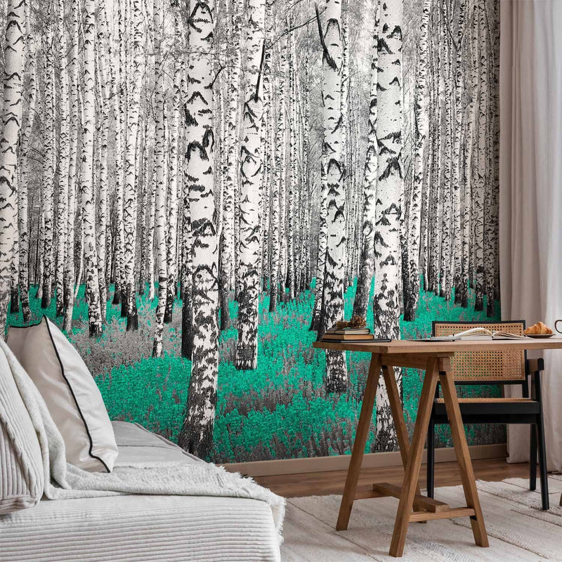 Wall Murals - Abstract forest landscape with birches and turquoise accent g-art