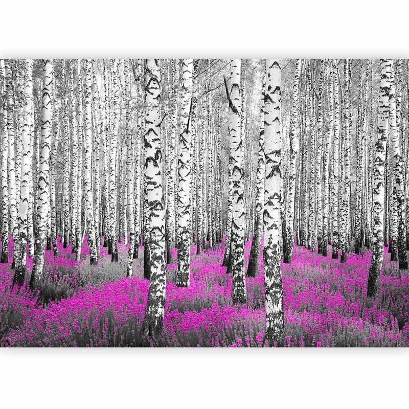 Fototapetes ar bērziem - Abstrakta meža ainava - Rubīna patvērums, 60519 G-ART