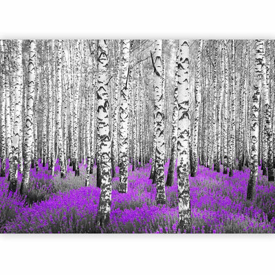 Fototapetes ar bērziem - Abstrakta meža ainava- Violeta mežs, 60531 G-ART