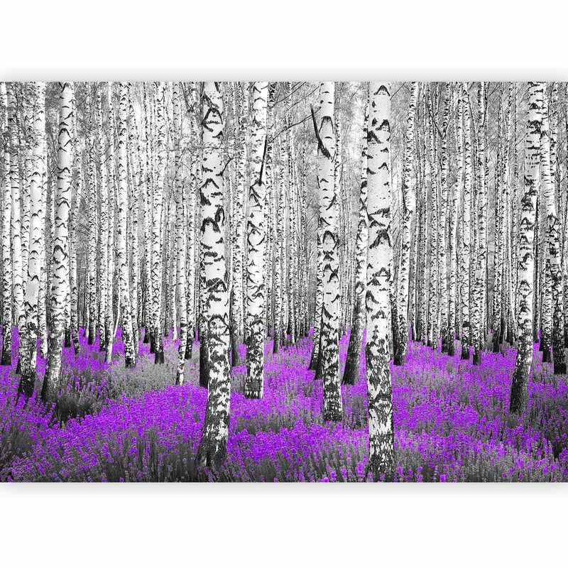 Fototapetes ar bērziem - Abstrakta meža ainava- Violeta mežs - 60531 G-ART