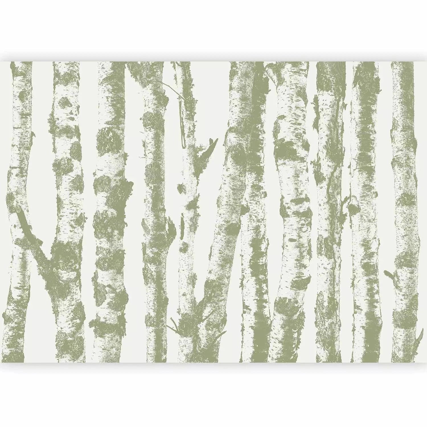 Fototapetes ar bērziem zaļos toņos - 130497 - dabas motīvs G-ART