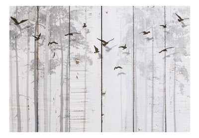 Fototapetes ar putniem pelēkos toņos, 106619 G-ART
