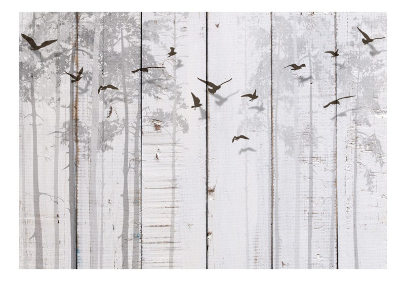 Fototapetes ar dabas motīvu gaiši pelēkā krāsā - Putni, 106619 G-ART