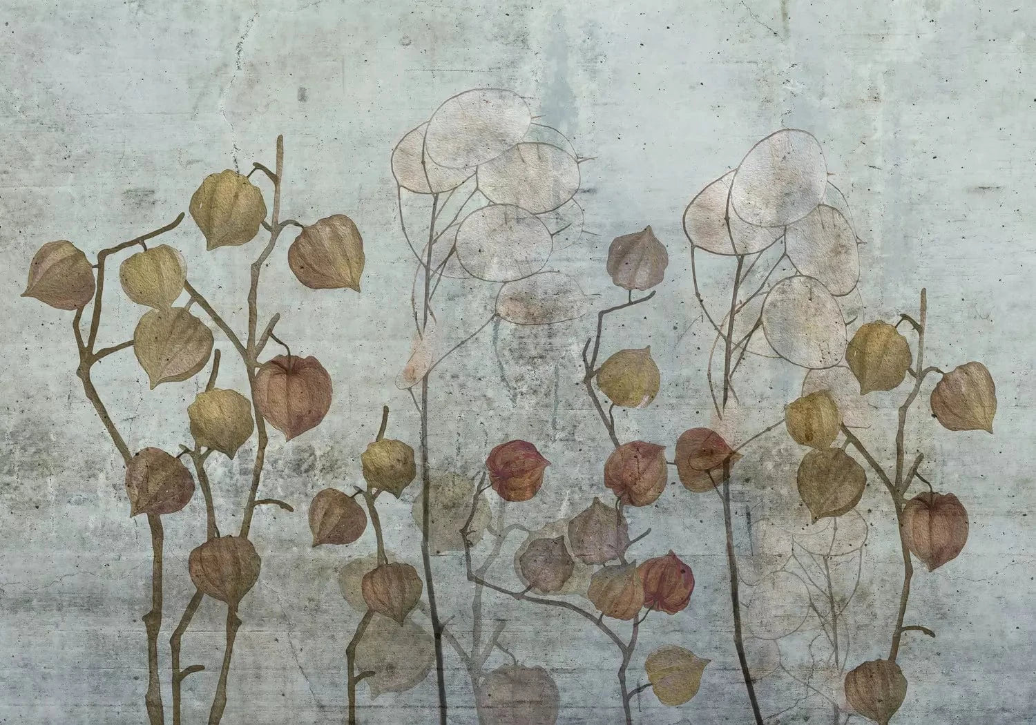 Fototapetes ar dabas motīvu - Lunaria - viesistabai, guļamistabai G-ART
