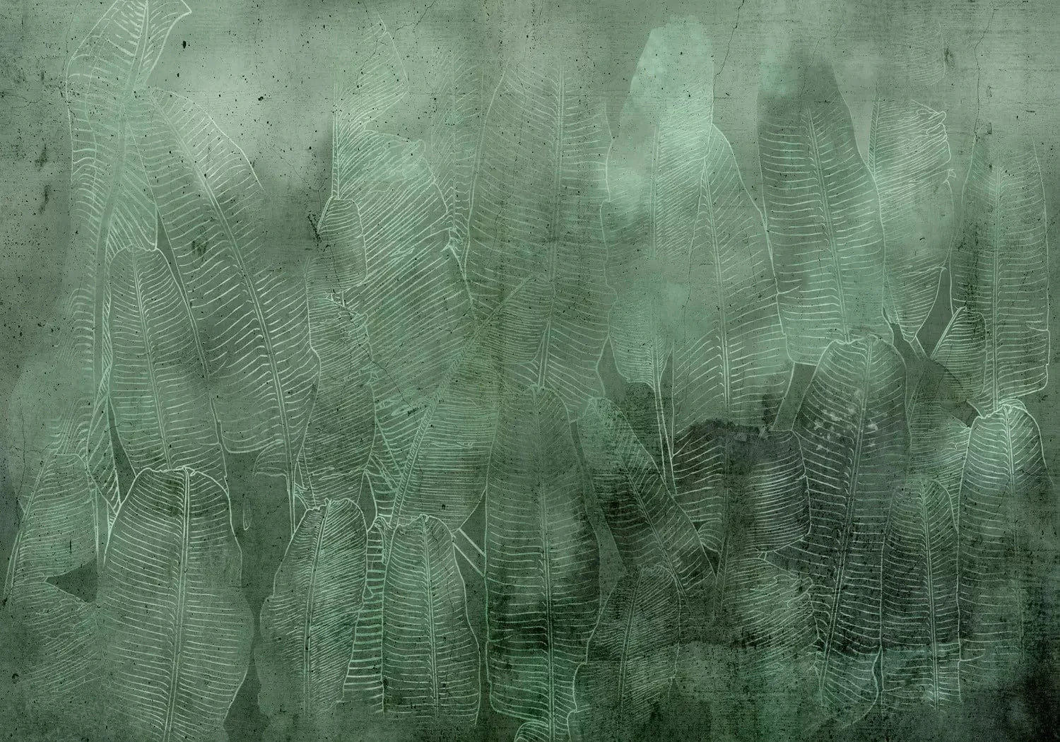 Fototapetes ar dabas motīvu - Zaļas banānu lapas - idejas interjeram G-ART