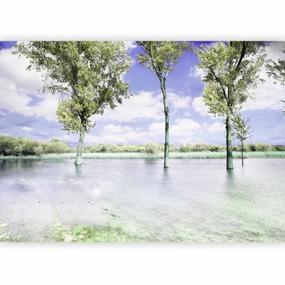 Valokuvatapetti luontonäkymällä - Puiden maisema järven rannalla ja sininen taivas, 60447 G-ART