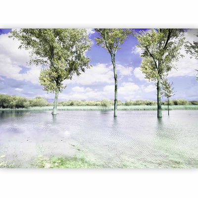 Wall Murals with nature view - landscape with trees and blue sky, 60447 G -art