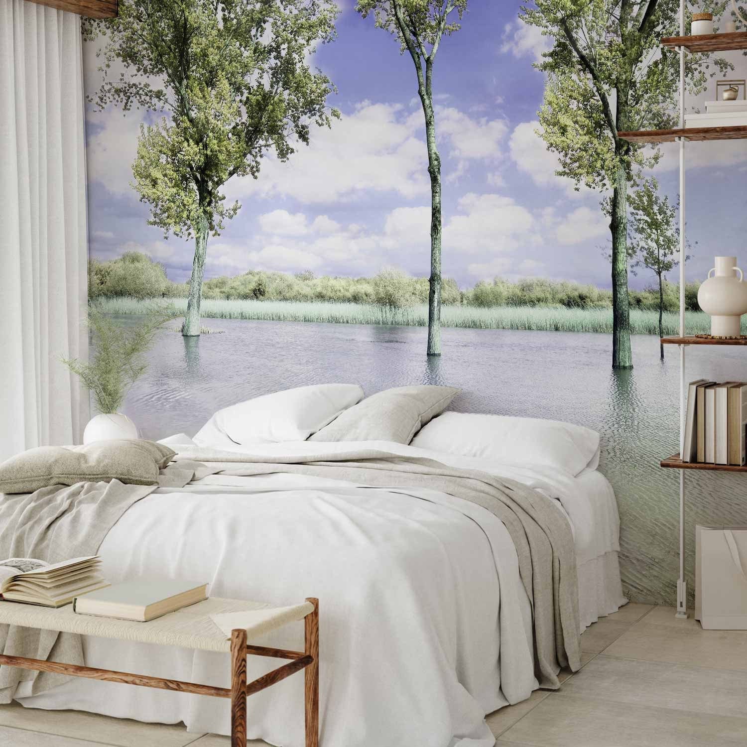 Wall Murals