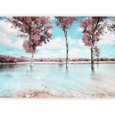 Wall Murals with nature view - autumn landscape - 60442g -art