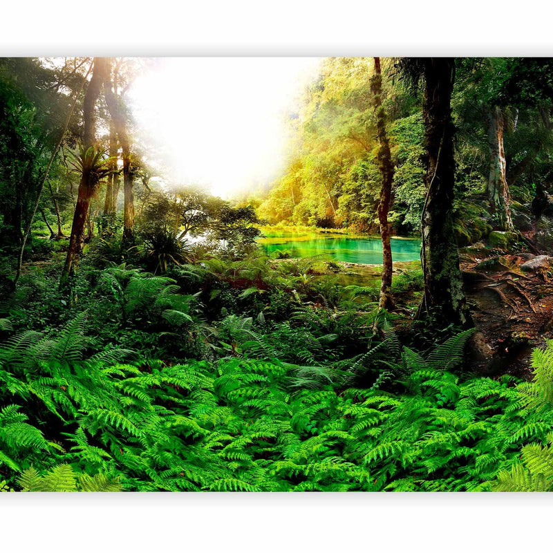 Wall Murals with nature in the living room - landscape with tropical jungle - 60505 G -art