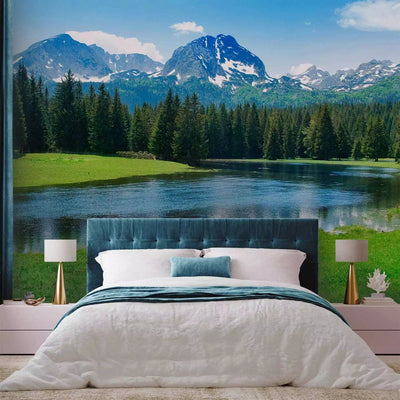 Wall Murals - Durmitor National Park landscape - mountain landscape with forest G-ART