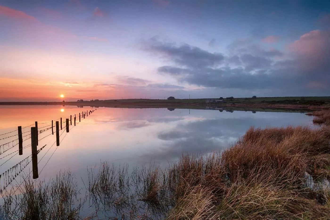 Fototapetes ar dabu - Saulriets Kornvolā, zilā D-ART