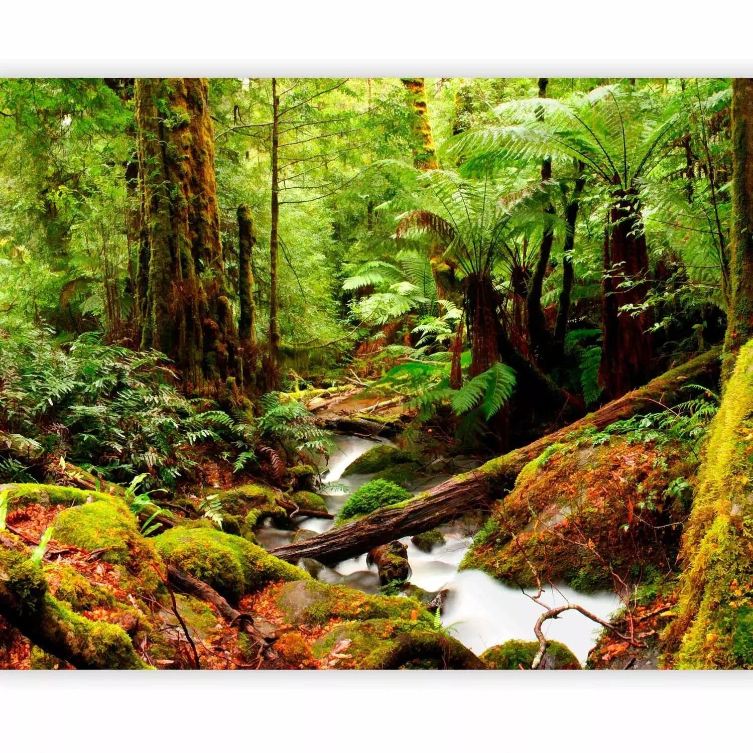 Fototapetes ar dabu - Tropiskais mežs, zaļā krāsā G-ART