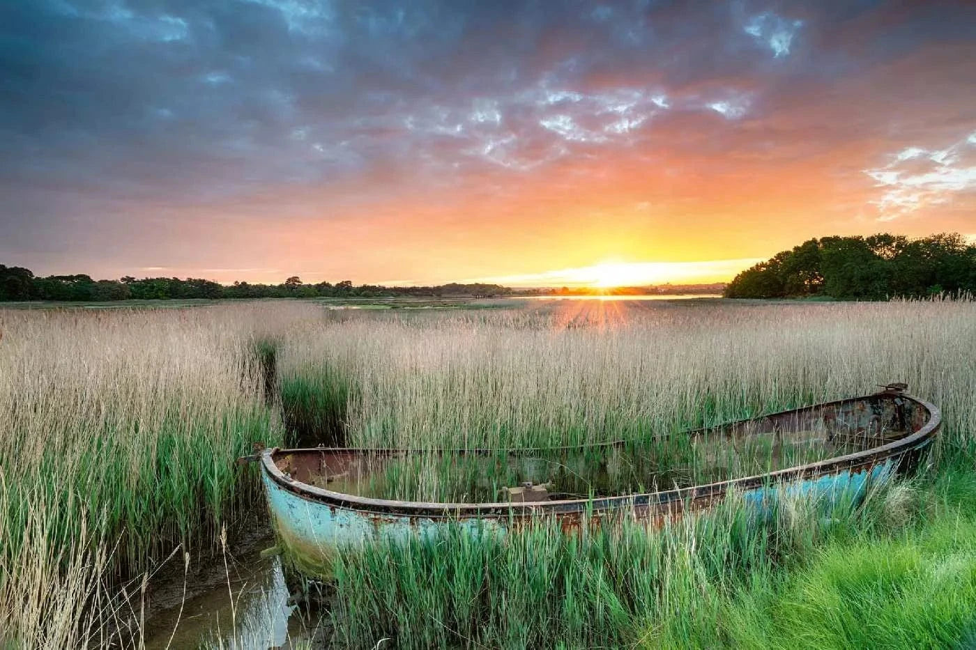 Fototapetes ar dabu - Vecā laiva, zaļā D-ART