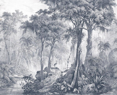 Fototapetes ar džungļiem un palmām pelēkā krāsā, RASCH, 2045776, 371x300 cm RASCH