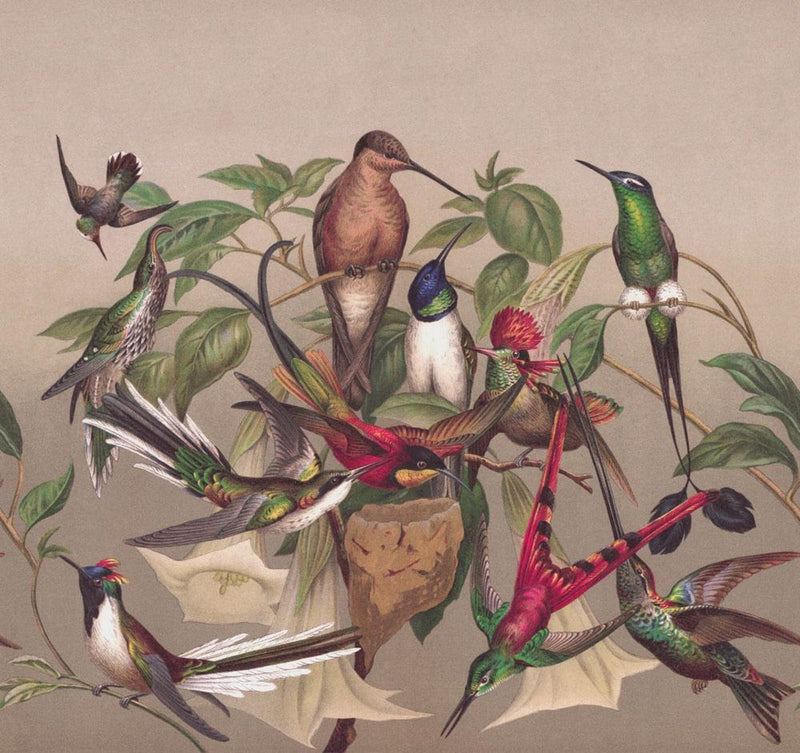 Fototapetes ar eksotiskiem putniem, brūnā, zaļā krāsā, RASCH, 2045520, 318x300 cm RASCH
