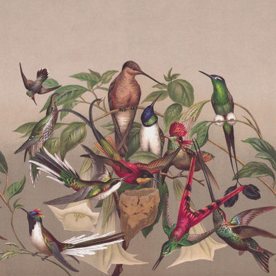 Fototapetes ar eksotiskiem putniem, brūnā, zaļā krāsā, RASCH, 2045527, 265x265 cm RASCH