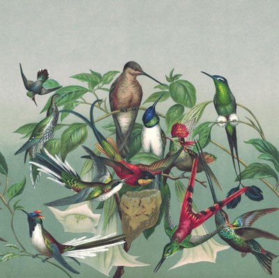 Fototapetes ar eksotiskiem putniem, zaļā krāsā, RASCH, 2045477, 265x265 cm RASCH