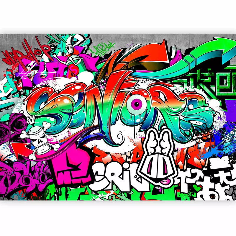 Adolescent Wall Murals with graffiti and inscriptions, 64601g-art