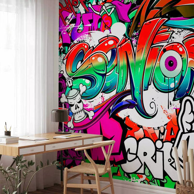 Adolescent Wall Murals with graffiti and inscriptions, 64601g-art