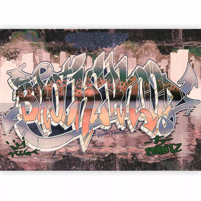 Wall Murals with graffiti inscriptions on the wall brown, 64254 G-art