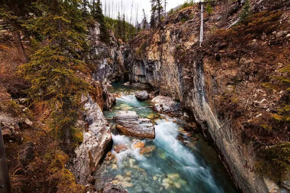 Fototapetes ar kalna upi brūnos toņos - Upe Kootenay, (375x250 cm) D-ART