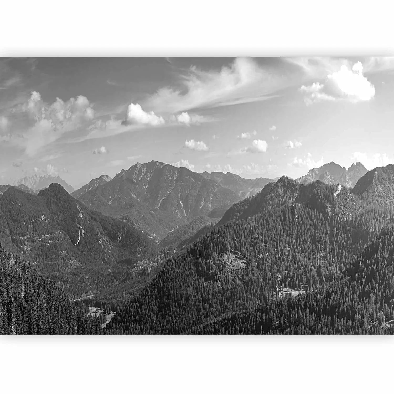 Fototapetes ar kalniem pelēkos toņos - viesistabai G-ART