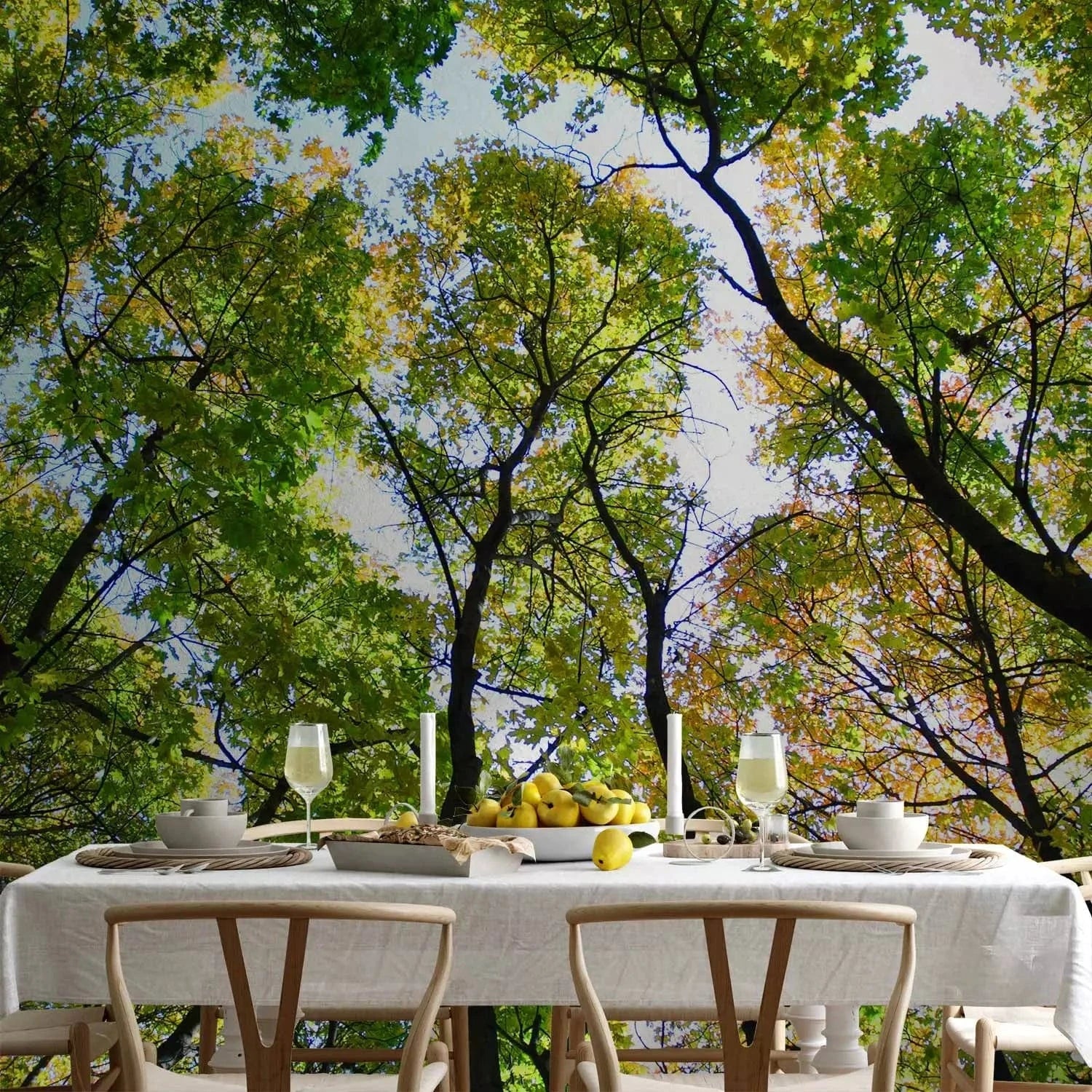 Fototapetes ar kokiem - Fantastiskas koku galotnēs, zaļā krāsā G-ART