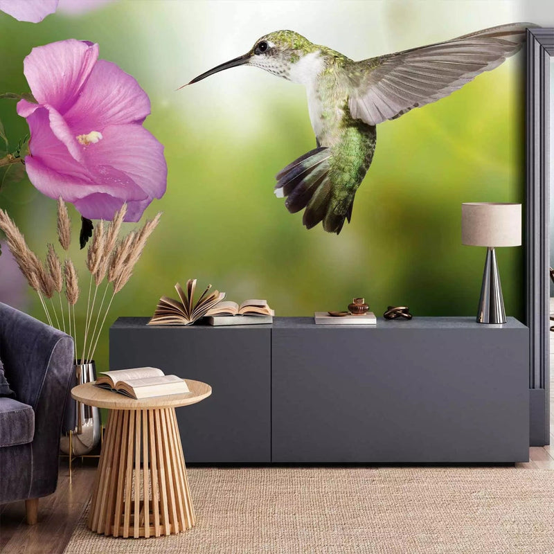 Wall Murals Hummingbird in flight with a pink flower on a green background, 60097 G-ART