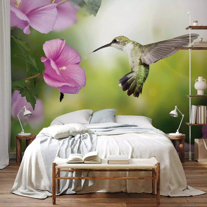 Wall Murals Hummingbird in flight with a pink flower on a green background, 60097 G-ART