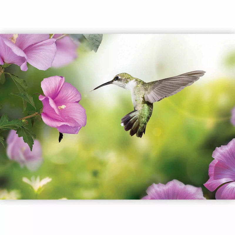Valokuvatapetti Kolibri lennossa vaaleanpunaisella kukalla vihreällä taustalla, 60097 G-ART