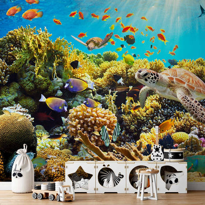 Valokuvatapetti Coral Reefin kanssa - vedenalainen maailma, 59999 G -Art