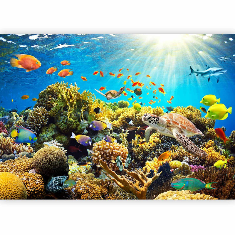 Fototapeet Korallrahuga - veealune maailm, 59999 G -art