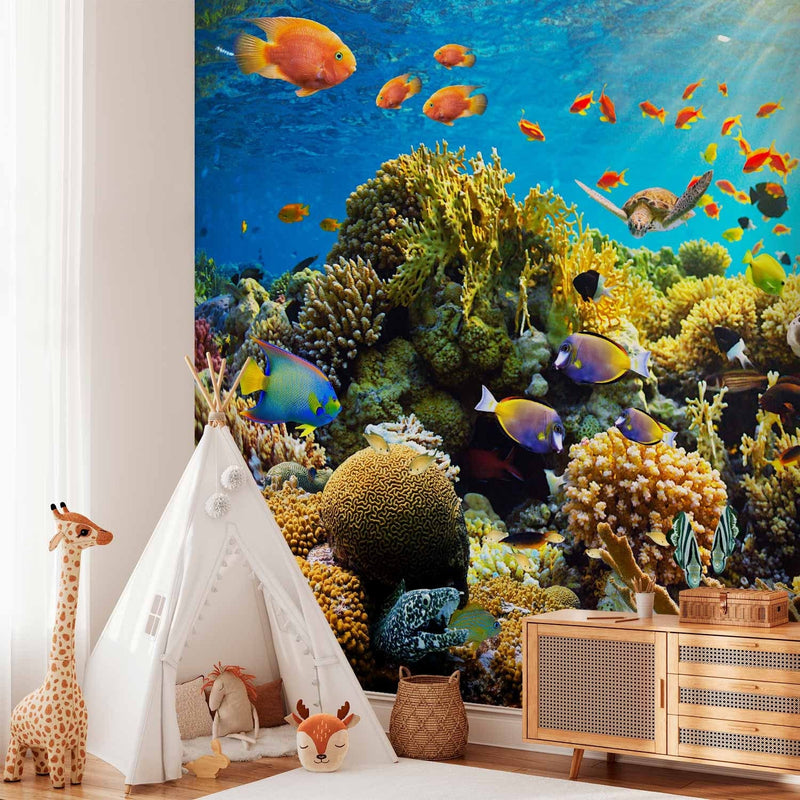 Wall Murals with coral reef - underwater world, 59999 g -art