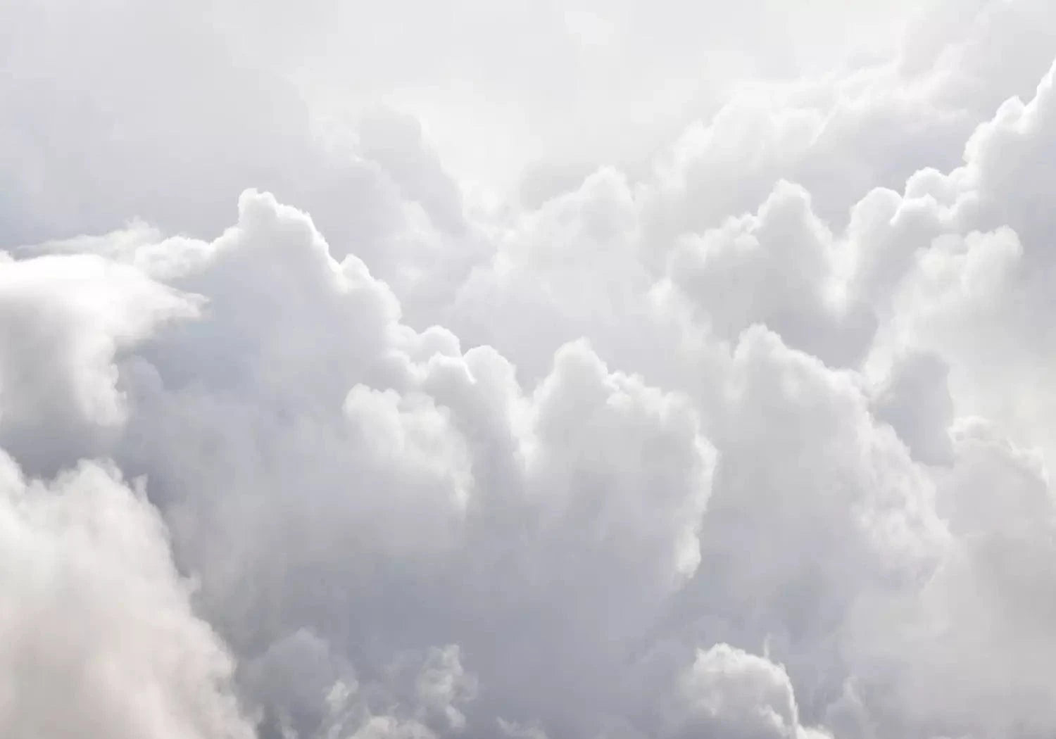 Fototapetes ar makoņiem - Vieglums - gaišos toņos G-ART