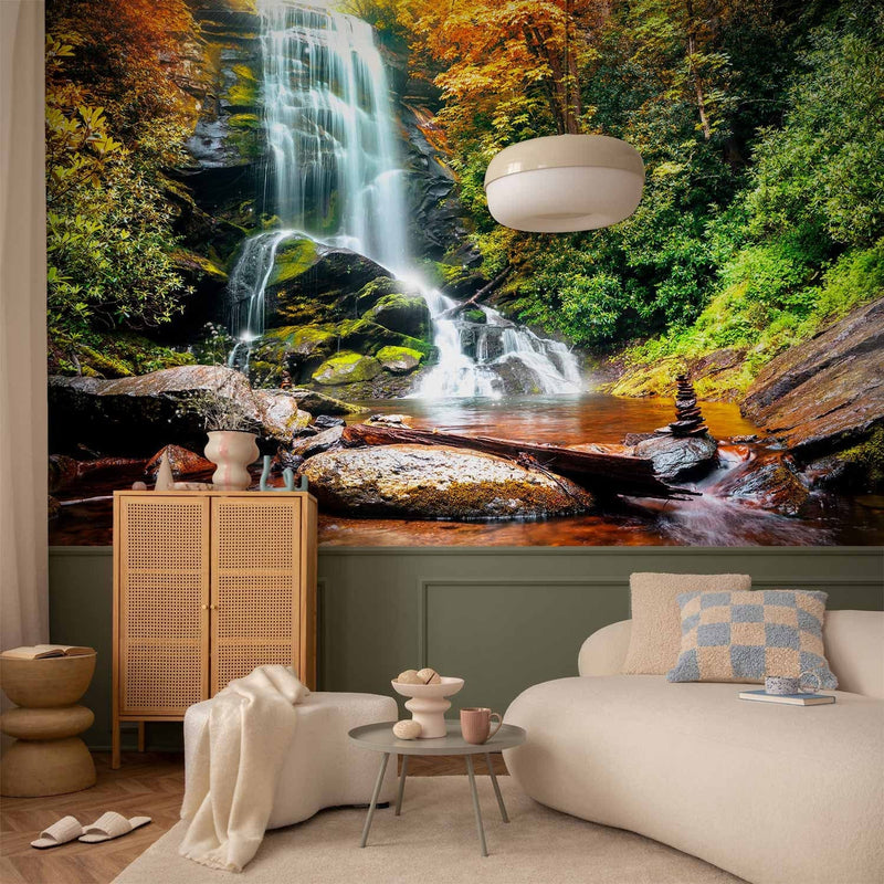 Wall Murals with forest waterfall - a stunning miracle of nature, 60093 g -art