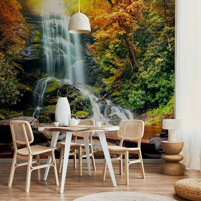Wall Murals with forest waterfall - a stunning miracle of nature, 60093 g -art