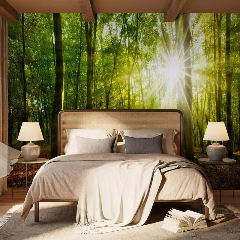 Fototapetes ar mežu - Dabiskā gaisma, 138048 - guļamistabas variants  G-ART